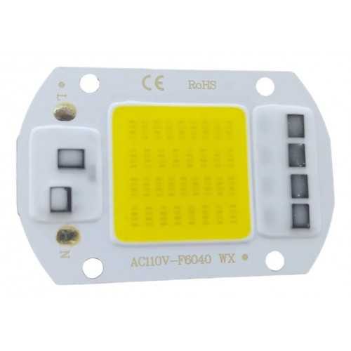 Led 110V 120V 50W Blanco...